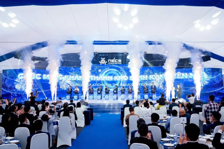 Thuê quả cầu LED: các loại, cách chọn và lưu ý kỹ thuật
